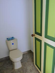 杰里科Hostal El fin del afán的一间带卫生间和绿门的浴室