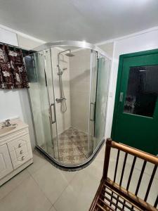 阿皮亚Heavenly Home的带淋浴的浴室,浴室设有绿门