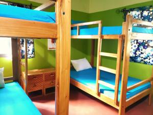 莫希Hostel Kiliwood的双层床间 - 带两张双层床