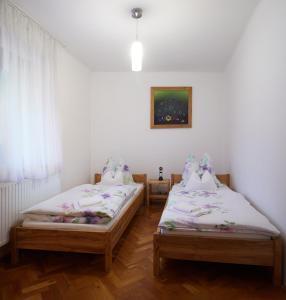 佩奇KeramikArt-Wohnung的带窗户的客房内设有两张单人床。