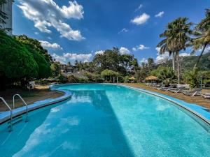 康提瑞士酒店的一座拥有蓝色海水和棕榈树的游泳池