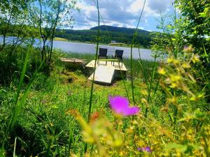 VäjaLila Stuga的湖附近草地上的两把椅子和一张桌子