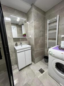 斯科普里Skopje Centar Margarita Luxury Aprtment(Private Parking)的一间带水槽和洗衣机的浴室