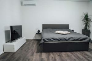 卢布尔雅那Lora & Lana Resort的一间卧室配有一张床和一台平面电视