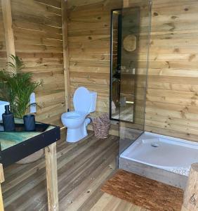 维琪奥港Domaine Authentique de Rose的一间带卫生间和浴缸的浴室