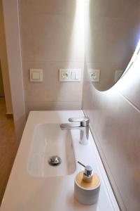 莱萨卡Peritxenea Landa Apartamentuak的一间带水槽和镜子的浴室