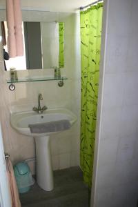 维克拉加尔迪奥勒保护区酒店的浴室设有水槽和绿色的淋浴帘