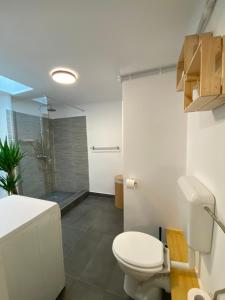 布加勒斯特Turqoise Central Apartaments的一间带卫生间和淋浴的浴室
