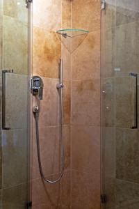 魏森湖西豪斯维尔纳公寓的淋浴间设有玻璃门和淋浴器