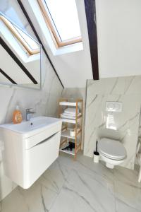 拉斯托瓦卡Vila Marija的浴室配有白色水槽和卫生间。