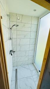 迪勒维尔纳Saulėlydis的带淋浴的浴室和玻璃门