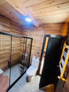 里泽Elegant Bungalov的木质墙壁的客房内设有带卫生间的浴室