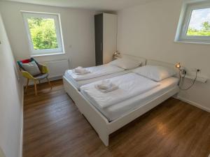 迪蒂斯豪森Holiday Home Schwarzwald by Interhome的一间卧室配有两张床、椅子和两个窗户。
