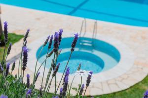 阿普索斯科孚瓦伦蒂诺公寓式酒店的鲜花盛开的花园和一个游泳池