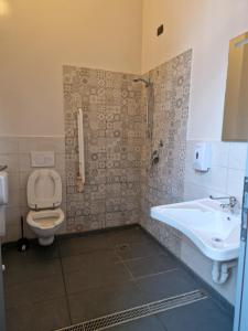 蒙扎奥斯特罗科斯塔阿尔塔酒店的一间带卫生间和水槽的浴室