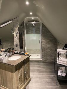 布鲁日't Hartje van Brugge的浴室配有水槽和淋浴。