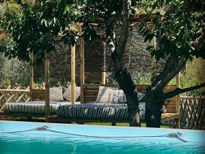 坎波罗索RIVIERA DOLCE VITA的游泳池旁树旁的一张床