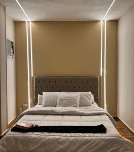 开罗lovely apartment in Zamalek的一间卧室配有一张大床和灯光