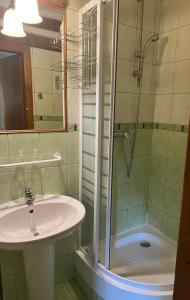 科热诺夫维里斯酒店的一间带水槽和淋浴的浴室