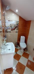 瑟尔尼察Къща за гости Джамбазови的一间带卫生间和水槽的浴室