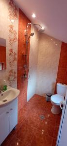 瑟尔尼察Къща за гости Джамбазови的带淋浴、卫生间和盥洗盆的浴室