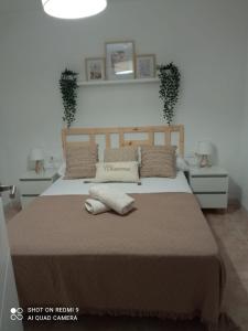 拉皮内达Paraíso beach的一间卧室配有一张大床和两个枕头