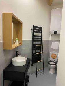 马克思维尔L’atelier d’Alain的一间带水槽和卫生间的浴室