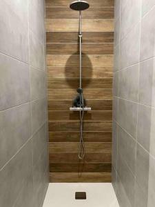 马克思维尔L’atelier d’Alain的带淋浴的浴室(带木墙)
