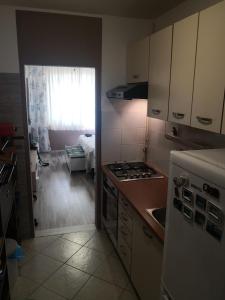 里耶卡Apartment Serpa的厨房配有水槽和炉灶 顶部烤箱