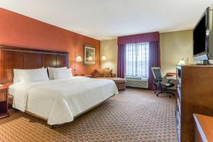 查塔努加北查塔努加希尔顿恒庭酒店的酒店客房设有一张大床和一张书桌。