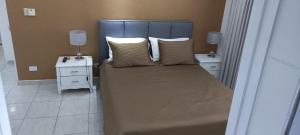 博卡奇卡Sol Mar Alegre的一间卧室配有带枕头的床和2个床头柜