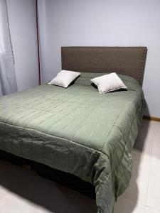 图蓬加托火山Portales de Tupungato的一张绿色的床,上面有两个枕头