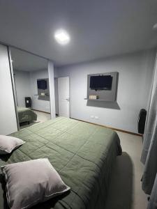 图蓬加托火山Portales de Tupungato的一间卧室配有绿色的床和一台平面电视