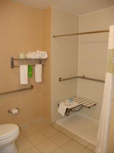 加登城加登城希尔顿欢朋酒店的带淋浴、卫生间和毛巾的浴室
