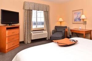 格兰德岛格兰德岛汉普顿酒店的酒店客房带一张床、一台电视和一把椅子