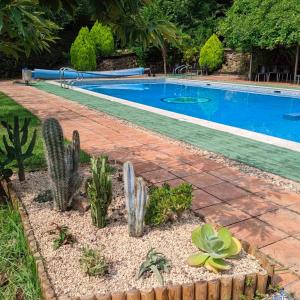 蒙希亚Casa Rural Bilbao Caserio Gondra Alquiler Habitaciones的院子里的游泳池,种植了仙人掌和植物