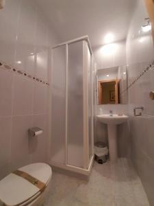 Gúdar古达尔旅馆的带淋浴、卫生间和盥洗盆的浴室