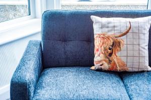 兰迪德诺Touchwood House Llandudno的一只奶牛坐在带枕头的蓝色沙发上