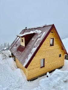 佩奇Hotel Te Liqeni的屋顶上积雪的木屋