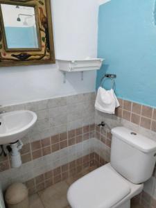 马拉加Finca los nogales的一间带卫生间和水槽的浴室
