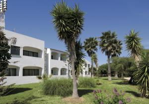 珀彻斯Albergaria Dom Manuel Hotel的一座白色的建筑,前面有棕榈树