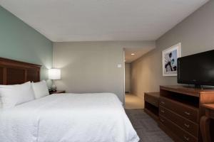 默特尔比奇哈伯盖特汉普顿酒店的配有一张床和一台平面电视的酒店客房