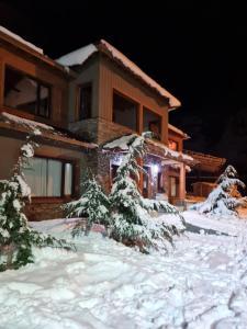 厄尔查尔坦Senderos Aparts & Suites的前面有雪覆盖的树木的房子