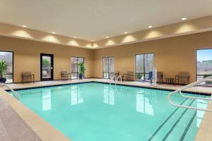 派恩布拉夫派恩布拉夫汉普顿酒店的在酒店房间的一个大型游泳池
