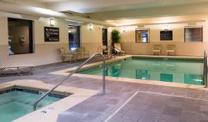 彭德尔顿彭德尔顿汉普顿酒店的在酒店房间的一个大型游泳池