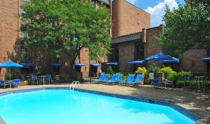 帕西帕尼汉普顿帕西帕尼酒店的一个带蓝色椅子和遮阳伞的游泳池