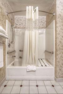 雷顿盐湖城莱顿汉普顿酒店的带浴缸和淋浴帘的浴室