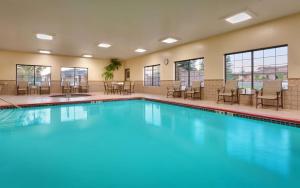 肖洛肖洛市派恩托普汉普顿套房酒店的大楼内一个带桌椅的游泳池