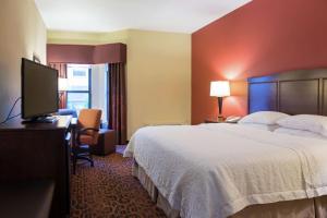 坦帕北坦帕希尔顿恒庭旅馆&套房酒店的配有一张床和一台平面电视的酒店客房