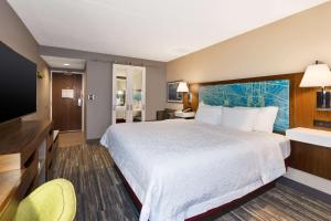 特拉弗斯城特拉弗斯城汉普顿旅馆的一间酒店客房,配有一张大床和一台平面电视
